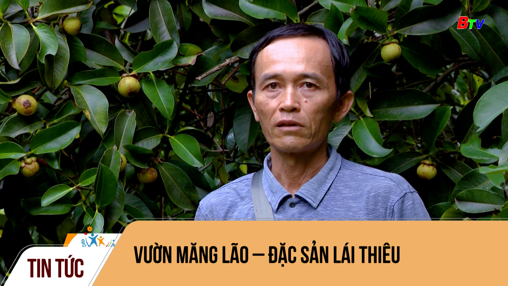 Vườn măng lão – đặc sản Lái Thiêu